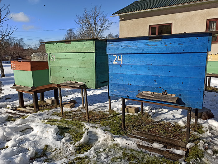 Selline võiks olla talv.
